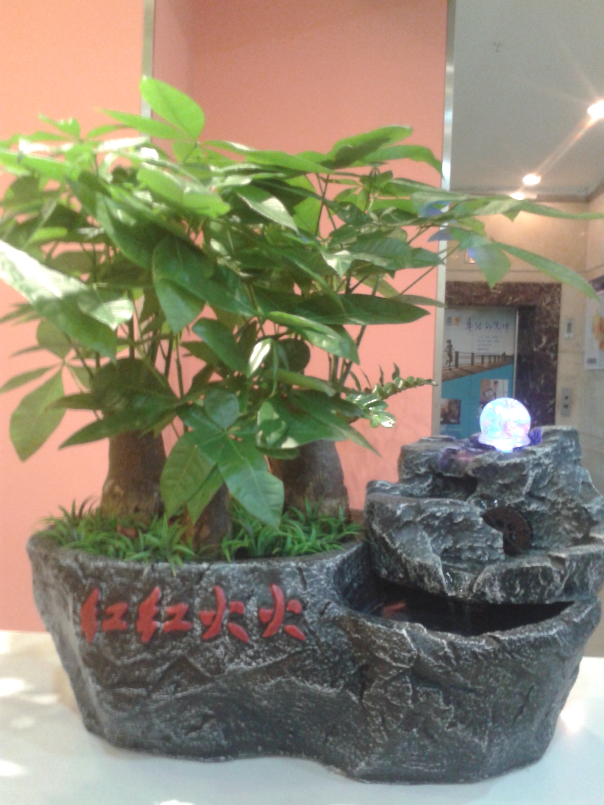 ��ϸߵ�������