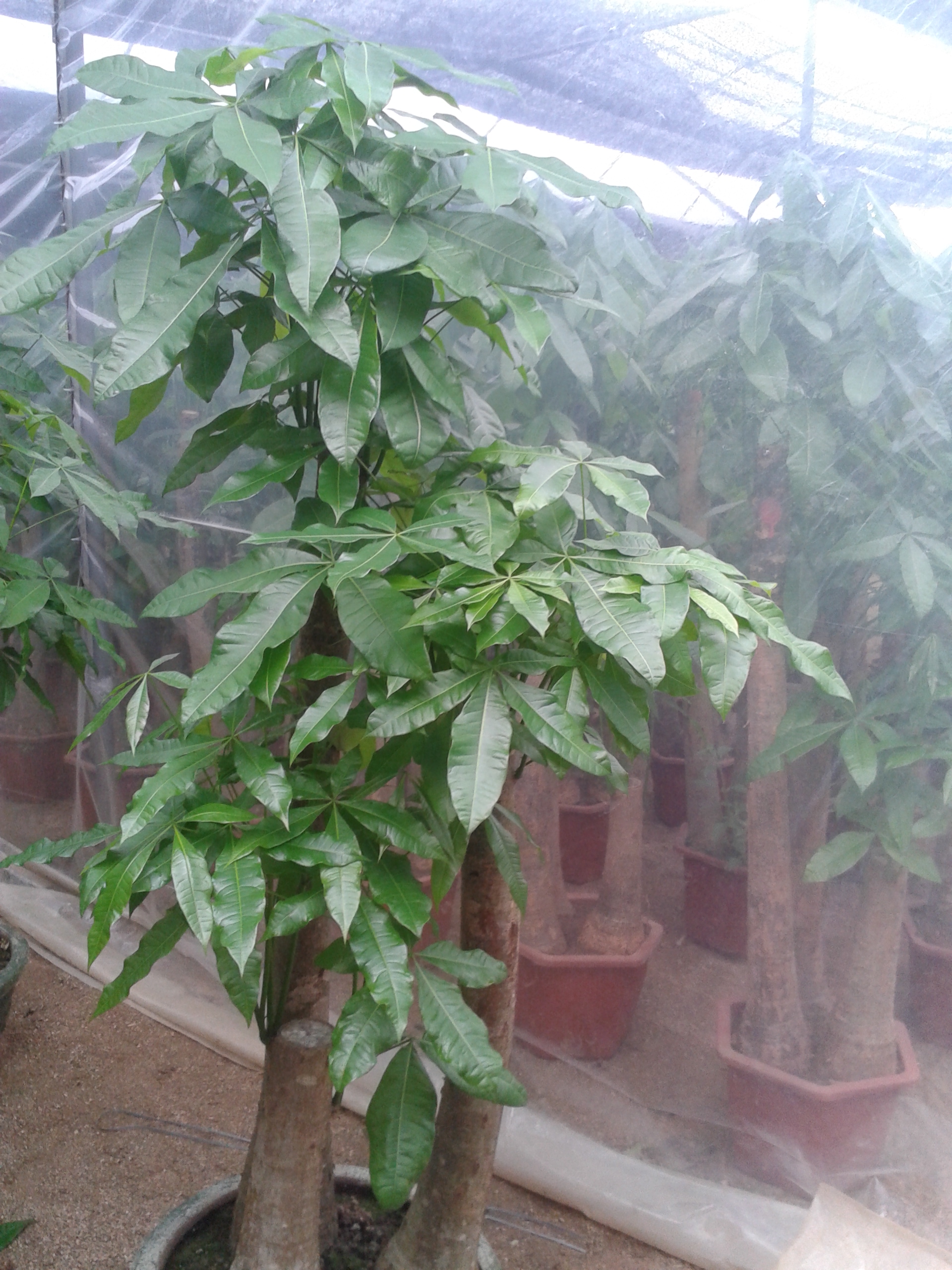 ����������������